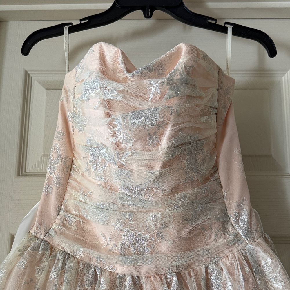 Jessica McClintock Blush Pink and Silver Embroidered Tulle Mini Dress - Picture 2 of 5